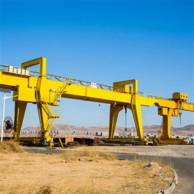 100-Tonnen-Portalportal-Goliath-Kran